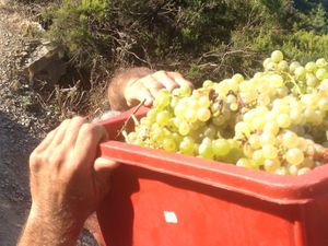  #Veganuary at Chiosco del Sole Volastra in Riomaggiore