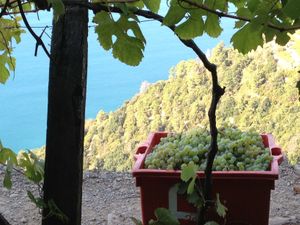  #Veganuary at Chiosco del Sole Volastra in Riomaggiore