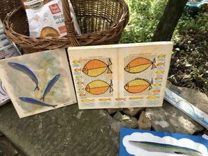   at Chiosco del Sole Volastra in Riomaggiore