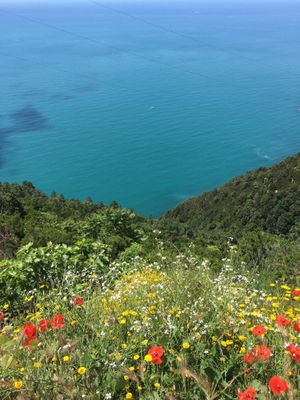 View near Volastra  at Chiosco del Sole Volastra in Riomaggiore
