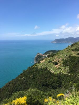 View around Volastra  at Chiosco del Sole Volastra in Riomaggiore