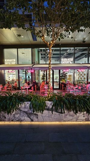  at Kara Kedi Eatery in Istanbul