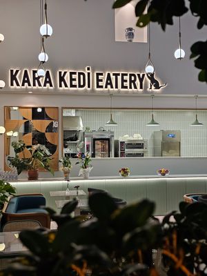  at Kara Kedi Eatery in Istanbul