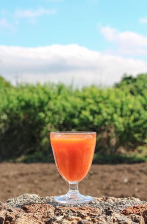  at sonongroad in Jeju