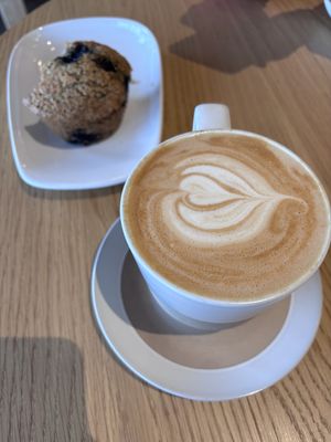   at Javista Coffee in Hollywood