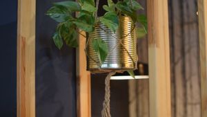 inside at Momos - Organic Veggie Dumplings in Berlin