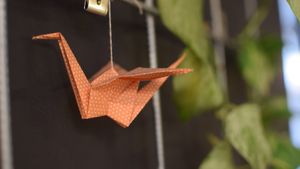 inside at Momos - Organic Veggie Dumplings in Berlin