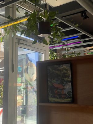   at Momos - Organic Veggie Dumplings in Berlin