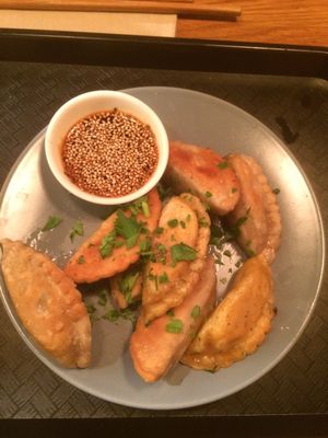 8 Fried Dumplings at Momos - Organic Veggie Dumplings in Berlin