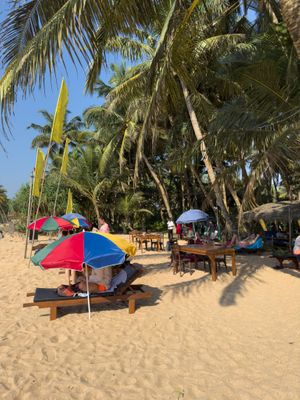 Enjoy and relaxing in the sea garden at Terick's Sea Garden Restaurant & Bar in Induruwa