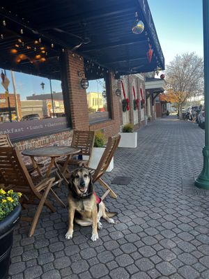 Outdoor seating- dog friendly  at Cafe Brûlée & Dessert Bar in Lagrange