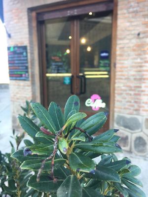 💚 at NaturalMente - Italian Coffee Shop in Toledo