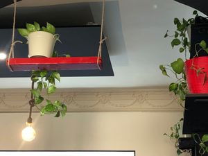  at NaturalMente - Italian Coffee Shop in Toledo