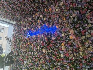 Cute entry at Peacock Pansy in San Francisco