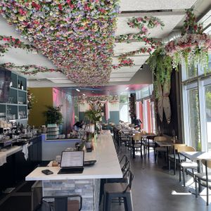   at Peacock Pansy in San Francisco