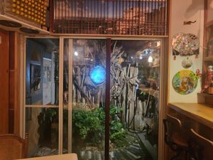 patio in the back at TOVIRA – トビラ in Kyoto