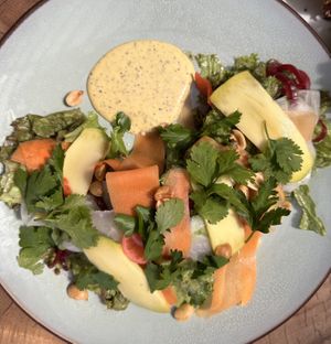 Salad with sweet and sour dressingg  at Origins  in Tamarindo