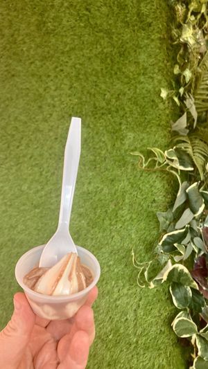 A free sample of their soft serve! It’s amazing!  at Soulfully Vegan in Berlin