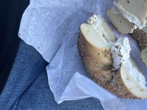 Toasted everything with tofu plain  at Liberty Bagels - Wall Street in New York City