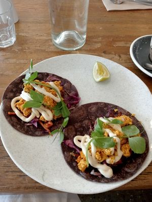 Tofu tacos at VanillaFood in Noosa Heads