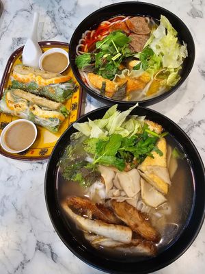 Spicy Beef Noodle, Chicken Pho and Spring Roll. at VeganPho - Lucky Plaza in Central Singapore