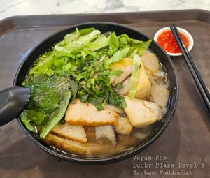 Chicken Pho at VeganPho - Lucky Plaza in Central Singapore