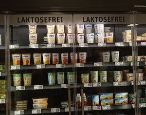 vegan yoghurts at REWE in Muenster