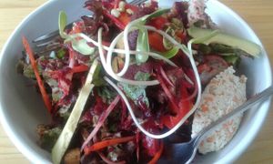 rasayana salad at Rasayana Raw Food Cafe in Bangkok