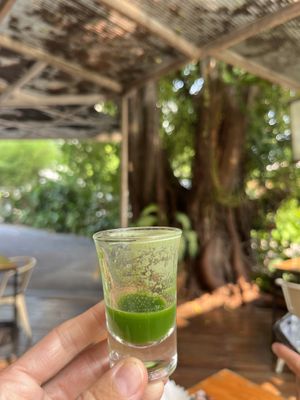 Whestgrass Shot  at Rasayana Raw Food Cafe in Bangkok