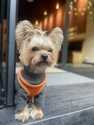  at Seven's Flexitarian Restaurant  in Kunming