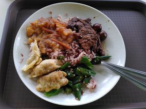 Favorites: meat and dumplings at Vegetarian - NUS Techno Edge Canteen in Central Singapore