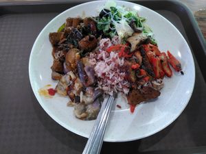 One of the best mixtures, meat, char siew, eggplants and greens at Vegetarian - NUS Techno Edge Canteen in Central Singapore