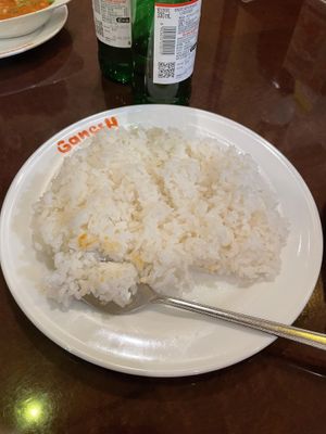 Plain rice regular size  at Ganesh in Hiroshima