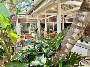 Outside dining area   at SkinnyTom's Deli in Unawatuna