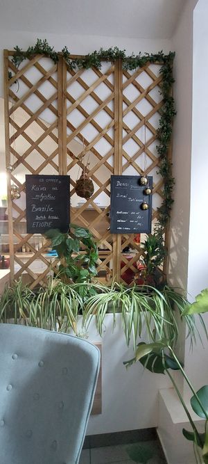  at Tranquilo in Brno