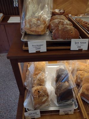Bread options at Plain Bakery - 플레인베이커리  in Busan