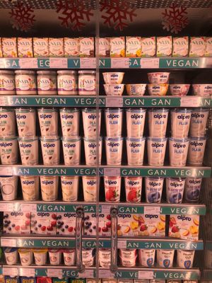 Yoghurts  at Waitrose - Khalifa City in Abu Dhabi