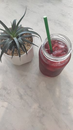 Ice tea at Dragonfruit Café in Whangarei