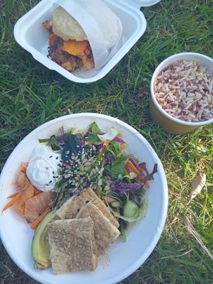 wrap and salad bowl  - note that the pic was taken after a few hours of those waiting in the car trunk... at Dragonfruit Café in Whangarei