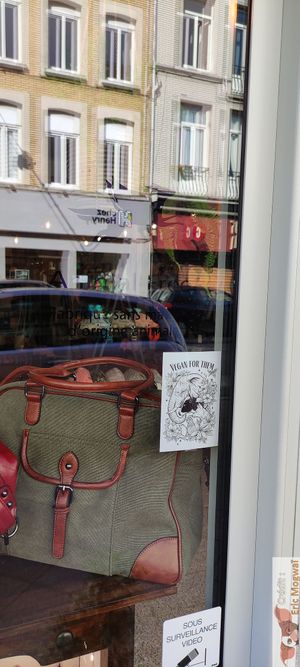 vitrine at Le Clos des Sacs in Lille