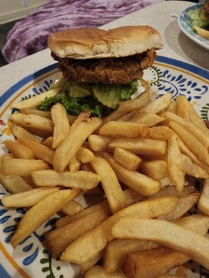  at Cosmic Bird in Louisville