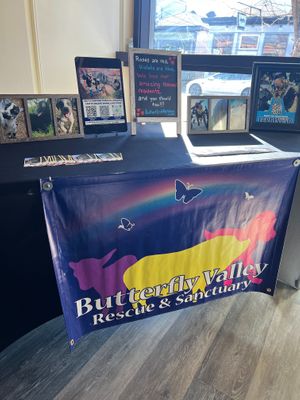 Butterfly Valley Rescue & Sanctuary in Louisville! at Cosmic Bird in Louisville