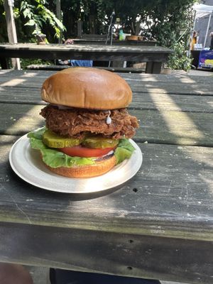   at Cosmic Bird in Louisville