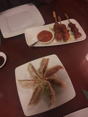 Dumplings and satay at Leaf Vegetarian in Rotterdam