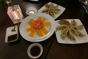 Sashimi & dumplings😋  at Leaf Vegetarian in Rotterdam