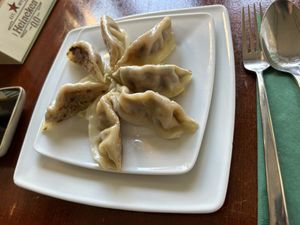 Dumplings  at Leaf Vegetarian in Rotterdam