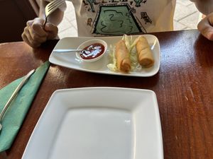 Loempia  at Leaf Vegetarian in Rotterdam