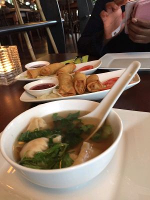 won ton soup and springrolls at Leaf Vegetarian in Rotterdam