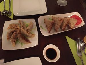 Dumplings and Sesame toast   at Leaf Vegetarian in Rotterdam