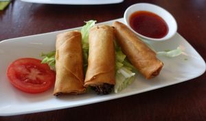 spring rolls  at Leaf Vegetarian in Rotterdam